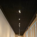 [문화여행] 제주 나 혼자 간다 | 11월 제주여행 억새 명소 🍁 제주돌문화공원 반나절 산책 코스 총정리 (하늘연못, 입장료, 주차 꿀팁)