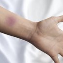 멍이랑 양이랑 이미지