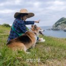 (주)붐렌트카 이미지