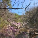 1084 | ⛰️100대명산➡️대구달성_비슬산1,084m