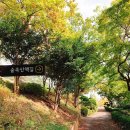 돝섬해상유원지 네이버블로그