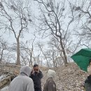 백로서식지 이미지