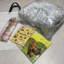 광주 아이아망 산모교실 웅진북클럽 사은품 방문후기