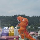 mini(미니)(청-181호) | 대구 포항 근교 당일치기 물놀이장 영천 캠핑인더선 가격 및 준비물 총정리