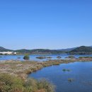 1020 보성 복내면 주암호 상류 이미지