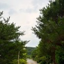 미미하우스 | 정읍 숙소, 미미하우스 펜션 내돈내산 후기