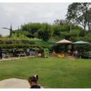 바둑아 놀자 이미지