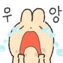 양기운 이미지