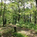 호애농장 이미지