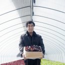 늘푸른채소 - 동구 아양로37길 31 | 늘푸른채소