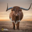 오아시스온 이미지