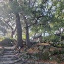 오현단 | 제주시 오현단(五賢壇)에 가다