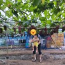 신남농장 이미지