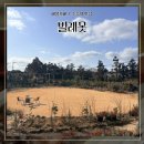 빌레못 제주 애월카페 애견동반 수플레 맛집 <b>빌레못</b>