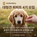해피독 트레이닝스쿨 | 영천)러닝독트레이닝 대형견 퍼피트 4기 후기 1