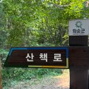 동구리호수공원잔디광장 이미지