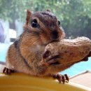 먹고보자 이미지