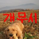 잠시라도 이미지