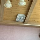 씨유그린 이미지