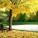 생의찬가 이미지