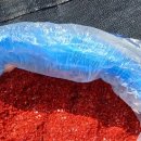 영광고추특화시장 이미지