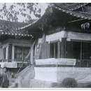 신흥라사