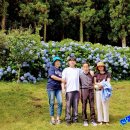 제주기사 이미지