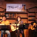 솔 피시 이미지