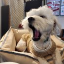 폴리파크 사곡점 이미지