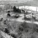 용산-현장-51 이미지