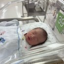 숙명어린이집 | 강서 미즈메디 제왕절개 4박5일 입원후기 및 출산준비물, 비용까지