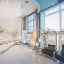 목화파크 이미지