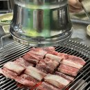 반갑다돼지야