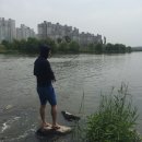 순종철판동태찜 네이버블로그