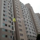 독고개길 이미지