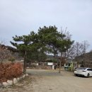 개나리목장 | '양평 양떼목장' 서울 근교 아이와 함께 봄나들이