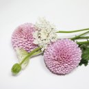 힐링 꽃꽃이 이미지