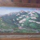 청학1리 Daum카페