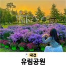 세븐일레븐 대전보라공원점 | 2024 대전 유림공원 국화축제 기본정보 주차장 피크닉 가을데이트추천 아이들과가볼만한곳