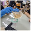 학성여자중학교 | [더이음교육_진로체험]DNA 추출 실험_울산 학성여자중학교_250710