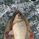 항포낚시터 이미지