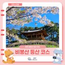비봉산 의곡사 위(봉황숲) | 경남 진주 등산 코스 추천! 힐링했던 진주 비봉산 산행