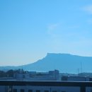 더베스트호텔 | 더베스트 제주성산호텔 후기 조식포함