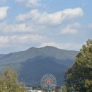 동화마을 생태공원3 (이동식화장실) | 곡성 기차마을 동화정원 충의공원 꽃단지 다녀온 후기(25.11.1일 기준)