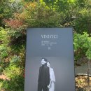 비니비치 이미지