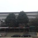 삼천순환로 네이버블로그