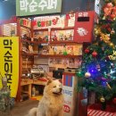 순포차
