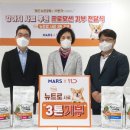 애견 11번가 이데일리