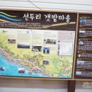 순종호 | 강화도여행 회가맛있고 아이와가볼만한곳 찾으세요?