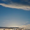 기억할개 이미지